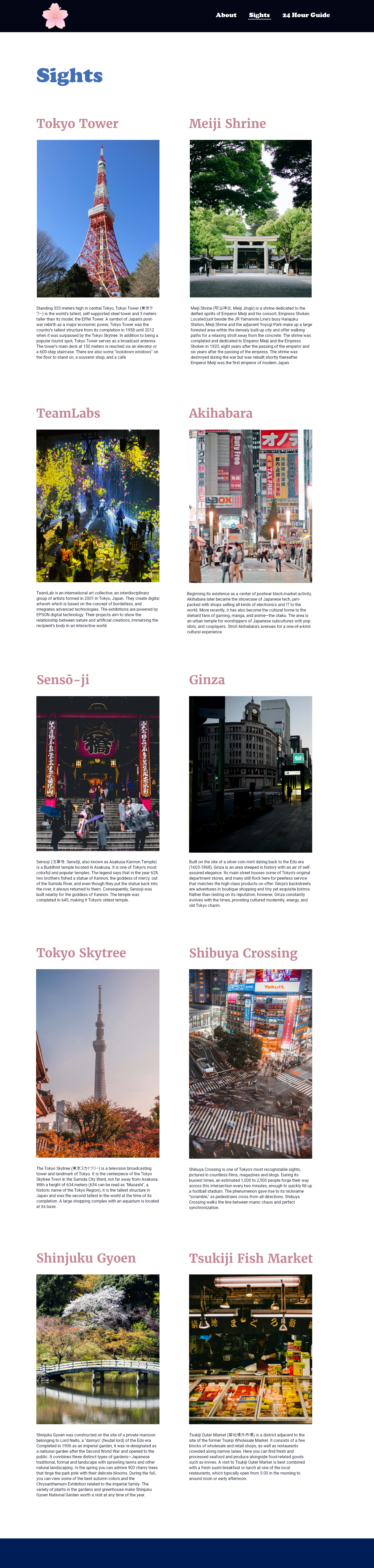 Sights Page for Tokyo Website