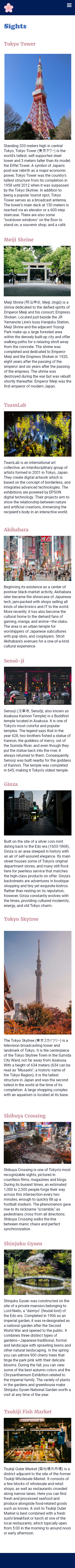 Sights Page for Tokyo Website