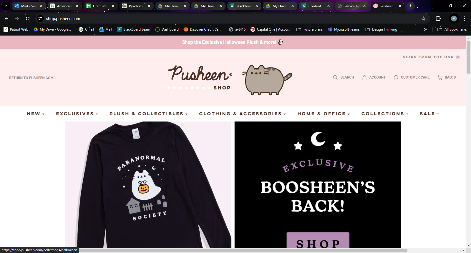 Pusheen Website Navigation